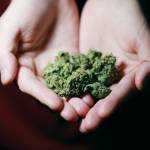 BudsCannaCorner Profile Picture