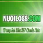 Nuoilo888 com Profile Picture