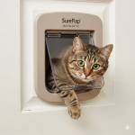 SureFlap Microchip Cat Flap Profile Picture