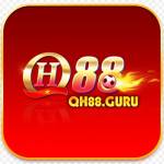 QH88 Profile Picture