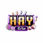 Haywin Sân chơi giải trí trực tuyến đẳn Profile Picture