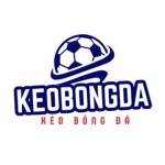 Kèo bóng đá Profile Picture