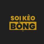 Soikeobongda de Profile Picture