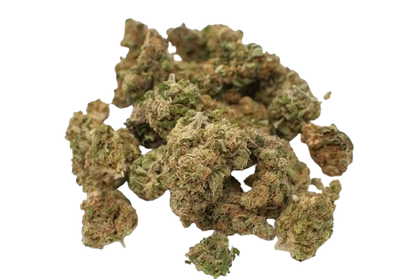 Why Canadians Prefer Ordering Thrasher Mushroom Strain Online?