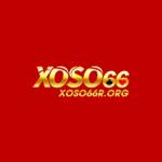 Xoso66r Org Profile Picture
