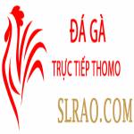 Đá Gà Trực Tiếp Thomo Profile Picture