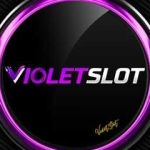 Violetslot Violet Slot Profile Picture