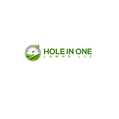 Hole In One Lawns LLC Profile Picture