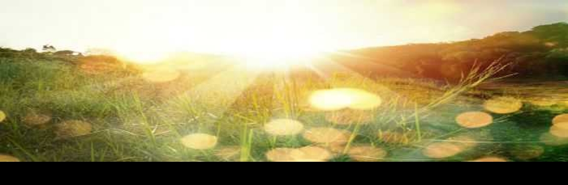 Wolf Creek Recovery Cover Image
