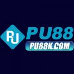 PU88 Profile Picture