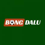 Bongdalu Cập Nhật Tỷ Số Bóng Đá Nhanh  Chính Xác Hàng Đầu Profile Picture