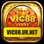 vic88uknet Profile Picture