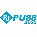 PU88 Profile Picture