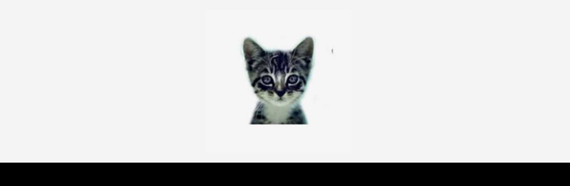 We Love Cats and Kittens Cover Image