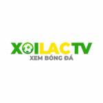 braidiocom gia mao Profile Picture