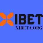 xibeta Profile Picture