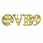 Vb9vn dev Profile Picture
