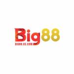 Big88 us com Profile Picture