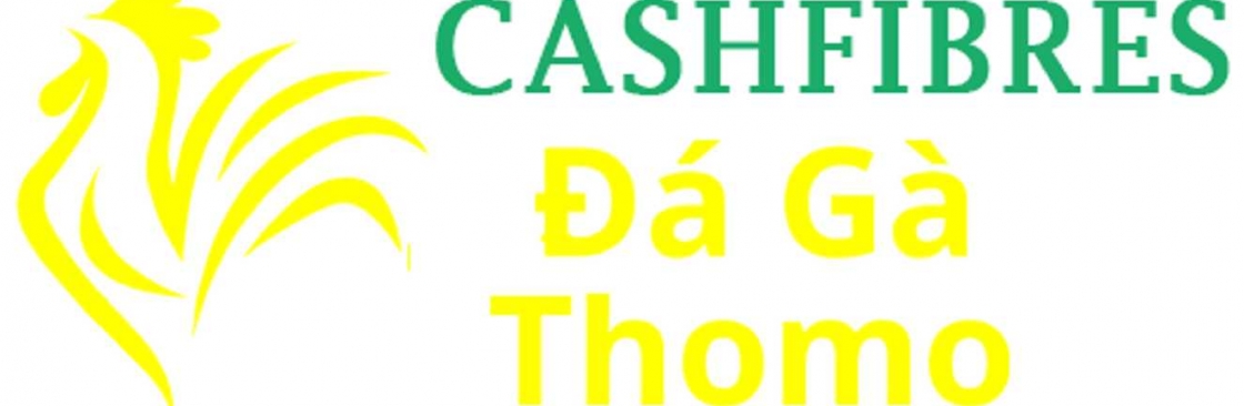 Đá Gà Trực Tiếp Thomo Cover Image