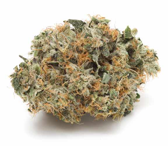 Buy Organic Diesel Weed Strain Online USA