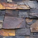 Shanthari Exports Profile Picture