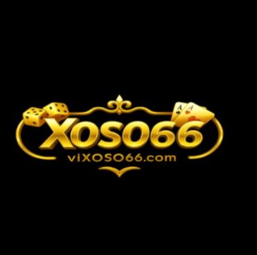 Vi Xoso66 Profile Picture