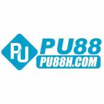 PU88 Profile Picture