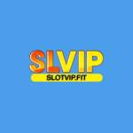 SlotVip Profile Picture