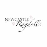 Newcastle Ragdolls Profile Picture