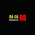 daga88 TRỰC TIẾP ĐÁ GÀ THOMO HÔM NAY Profile Picture