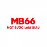 com MB66 Profile Picture