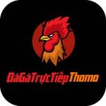 Dagatructiepthomo Profile Picture