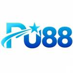 PU88 Profile Picture