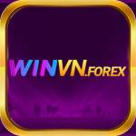WINVN Nền Tảng Cá Cược Đầu Tư Trực Tuyến Đa Dạng Profile Picture