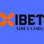 xibeta Profile Picture