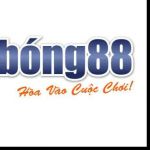 Nhà Cái Bong88 Profile Picture