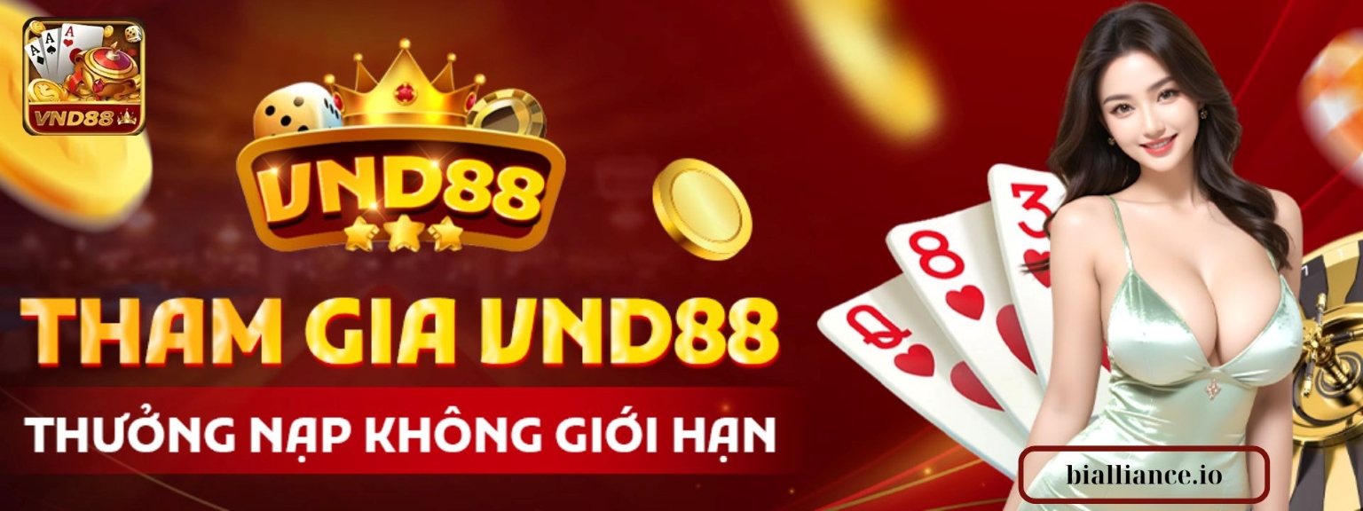 VND88 Cover Image