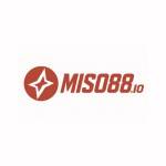 Miso88 Profile Picture