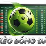 Keobongda68 com Profile Picture