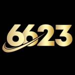 6623 Profile Picture