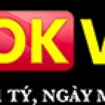 Okvnd73 com Profile Picture