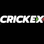Crickex Profile Picture