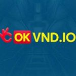 Okvnd Nhà Cái Profile Picture