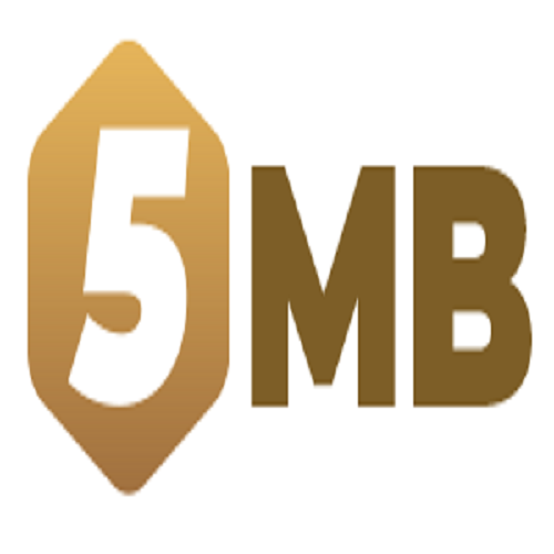 5MB wtf Profile Picture