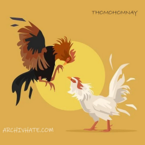 thomohomnayarc Profile Picture