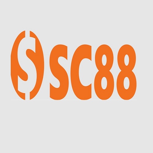 SC88 couk Profile Picture