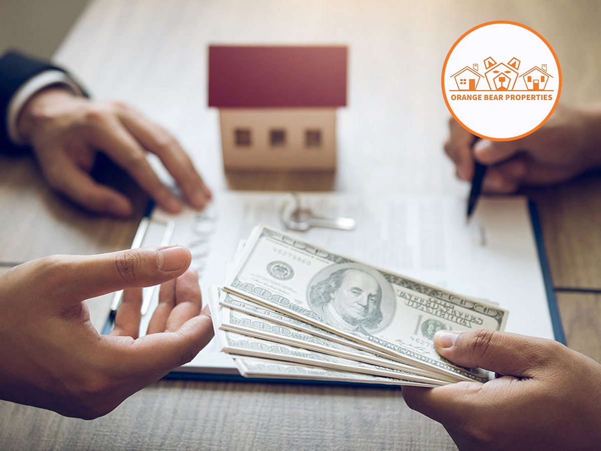 Orange bear Properties Cover Image
