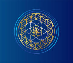 Vibroacoustic Solutions Profile Picture