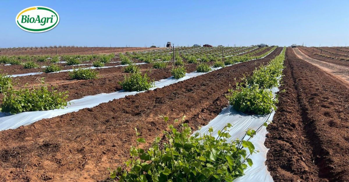 Bio Agri Cover Image