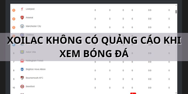 frogmouthclothingcom lua dao Cover Image